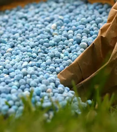 Fertilizer Industries
