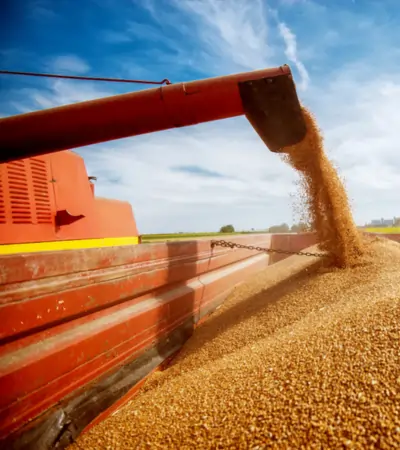 Grains Industries