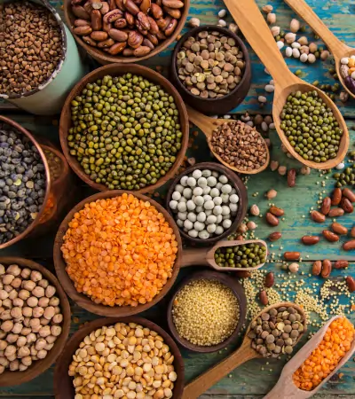 Pulses Industires