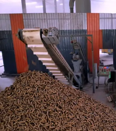 Bio Pallets industries